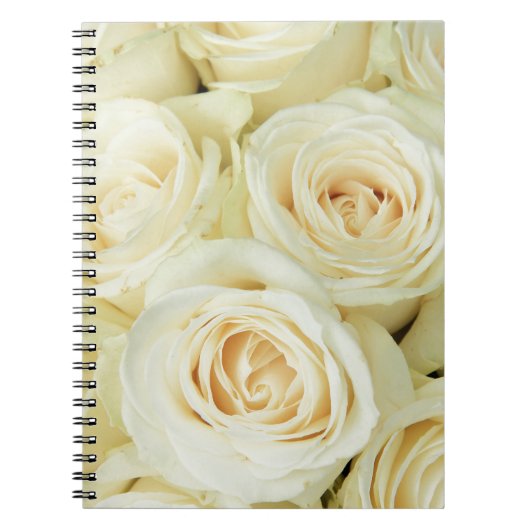 Therosegarden著白いバラ ノートブック (正面)