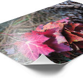 They All秋 フォトプリント (角)