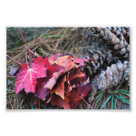 They All秋 フォトプリント