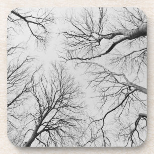 Thiepval木のLeafless木 コースター