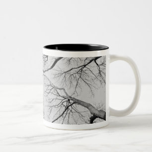 Thiepval木のLeafless木 ツートーンマグカップ