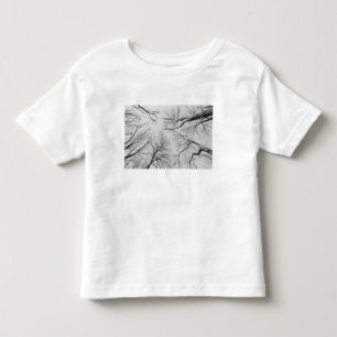 Thiepval木のLeafless木 トドラーTシャツ