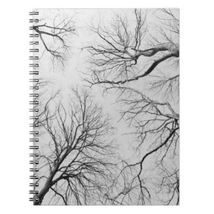 Thiepval木のLeafless木 ノートブック