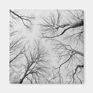 Thiepval木のLeafless木 マグネット