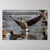 Thin Ice ポスター (正面)