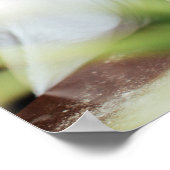 Thing One Thing Two Twins誕生日写真の追加 ポスター (角)