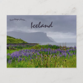 Thingeyri Icelandの海岸線のワイルドフラワー ポストカード