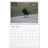 Things with Wings: A Wildlife Photography Calendar カレンダー (3月 2026)