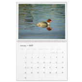 Things with Wings: A Wildlife Photography Calendar カレンダー (1月 2027)