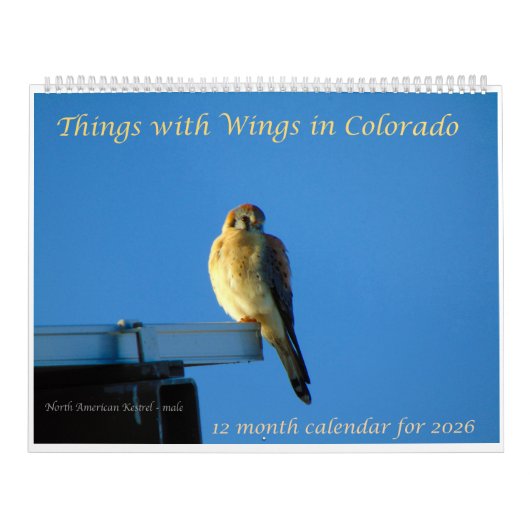 Things with Wings: A Wildlife Photography Calendar カレンダー (カバー)
