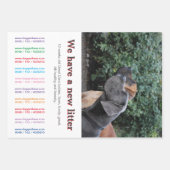 Think outside the box with this flyers  ラッピングペーパーシート (正面)