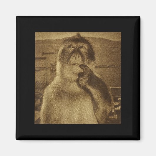 Thinking Monkey Meme Vintage Retro  マグネット (正面)