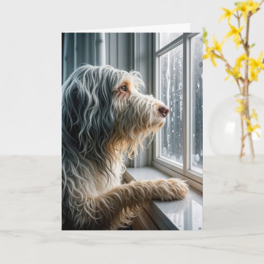 Thinking of You Bearded Collie a Rainy Window カード (黄色い花)