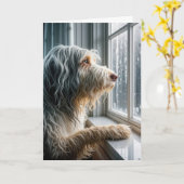 Thinking of You Bearded Collie Looking at Rain カード (黄色い花)