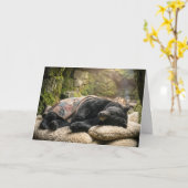 Thinking of You Black Bear Sleeping Under a Quilt カード (黄色い花)