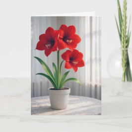 Thinking of You Blooming Red Amaryllis  カード