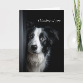 Thinking of You Border Collie カード