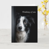 Thinking of You Border Collie カード (黄色い花)