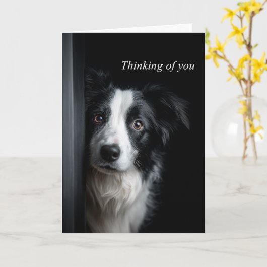 Thinking of You Border Collie カード (黄色い花)