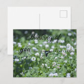 thinking of you butterflies シーズンポストカード (正面/裏面)