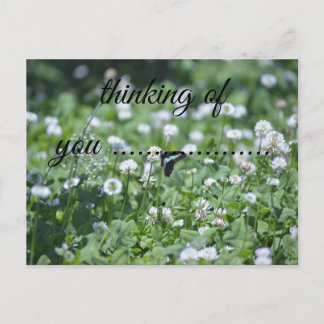thinking of you butterflies シーズンポストカード