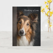 Thinking of You Collie カード (黄色い花)
