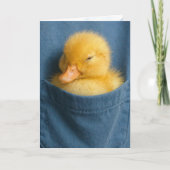 Thinking of You Duckling In a Blue T-shirt Pocket カード (正面)