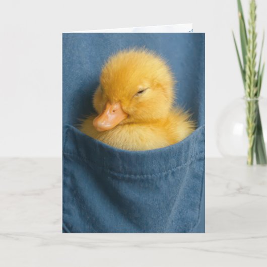 Thinking of You Duckling In a Blue T-shirt Pocket カード (正面)