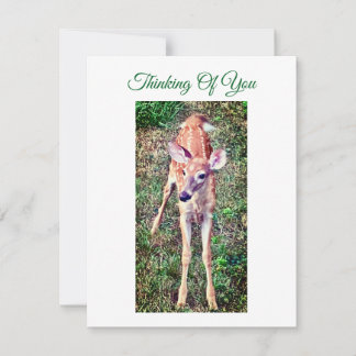 Thinking Of You Flat Note Card With Fawn ノートカード