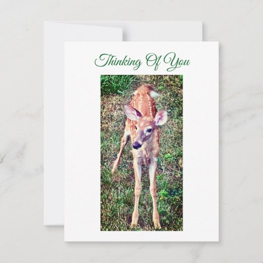 Thinking Of You Flat Note Card With Fawn ノートカード (正面)