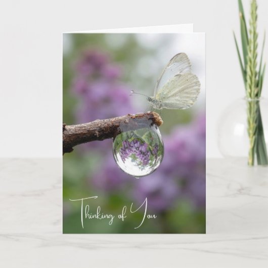 Thinking of You Lilacs Reflecting in a Raindrop カード (正面)