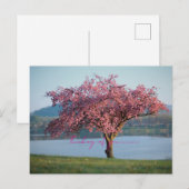 thinking of you nature  ポストカード (正面/裏面)