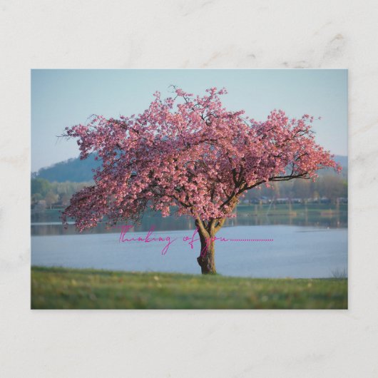 thinking of you nature  ポストカード (正面)