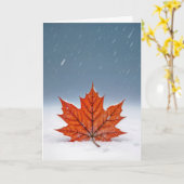 Thinking of You Orange Maple Leaf On Snow カード (黄色い花)