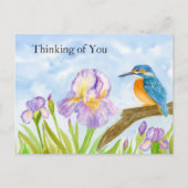 Thinking of You Watercolor Kingfisher Purple Iris ポストカード (正面)