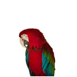 This elegant t-shirt design パーカ