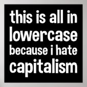this is all in lowercase because i hate capitalism ポスター (正面)