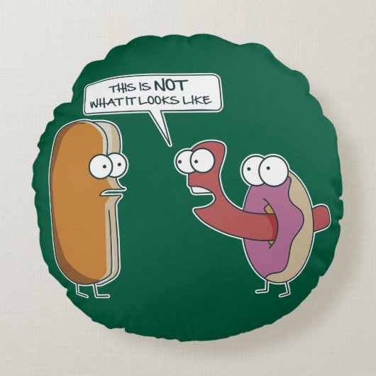 This is not what it looks like ラウンドクッション (正面)