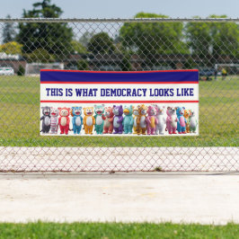 This is What Democracy Looks Like Protest 横断幕