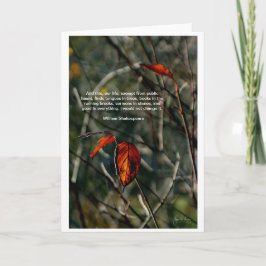 This Our Life – シェークスピア引用文カード カード