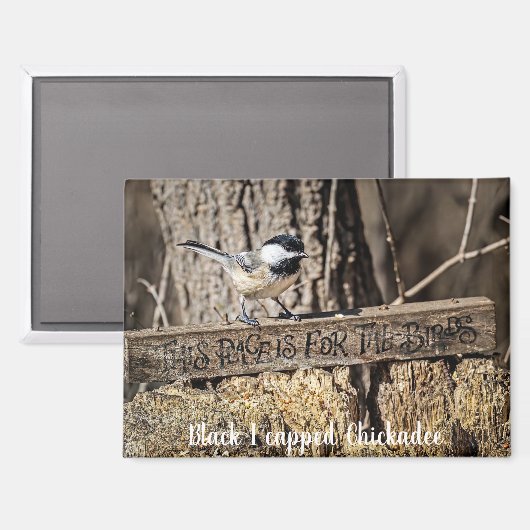 This place is for the birds magnet マグネット (正面/裏面)