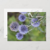 Thistle – 群衆から立ち上がる ポストカード (正面/裏面)