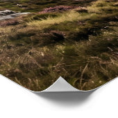 Thistle Falcon Highland Sky ポスター (角)