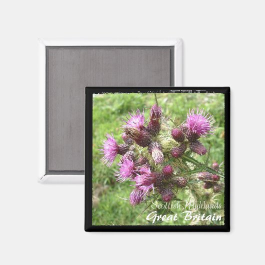 Thistle, Scotish Highlands, UK (Magnet) マグネット (正面/裏面)
