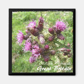 Thistle, Scotish Highlands, UK (Magnet) マグネット (正面)
