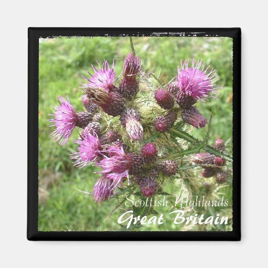 Thistle, Scotish Highlands, UK (Magnet) マグネット (正面)