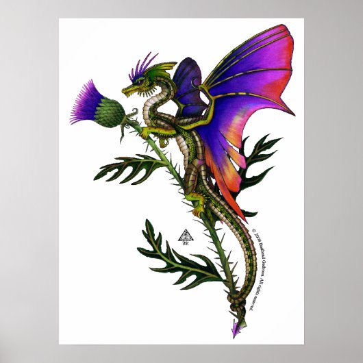 Thistlebairn Print ポスター (正面)