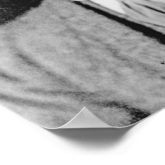 Thoby Stephen, c.1902 ポスター (角)