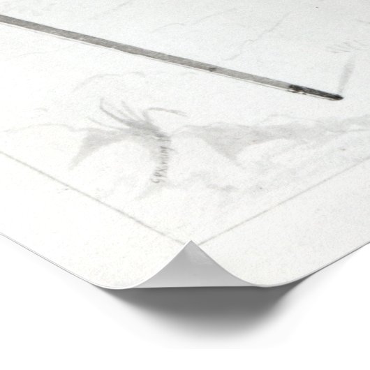 Thomas Bruce, Elginの第7回アール ポスター (角)