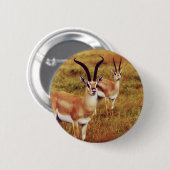 Thompsonsのガゼルのサファリのボタン及びバッジ 缶バッジ (正面&裏面)